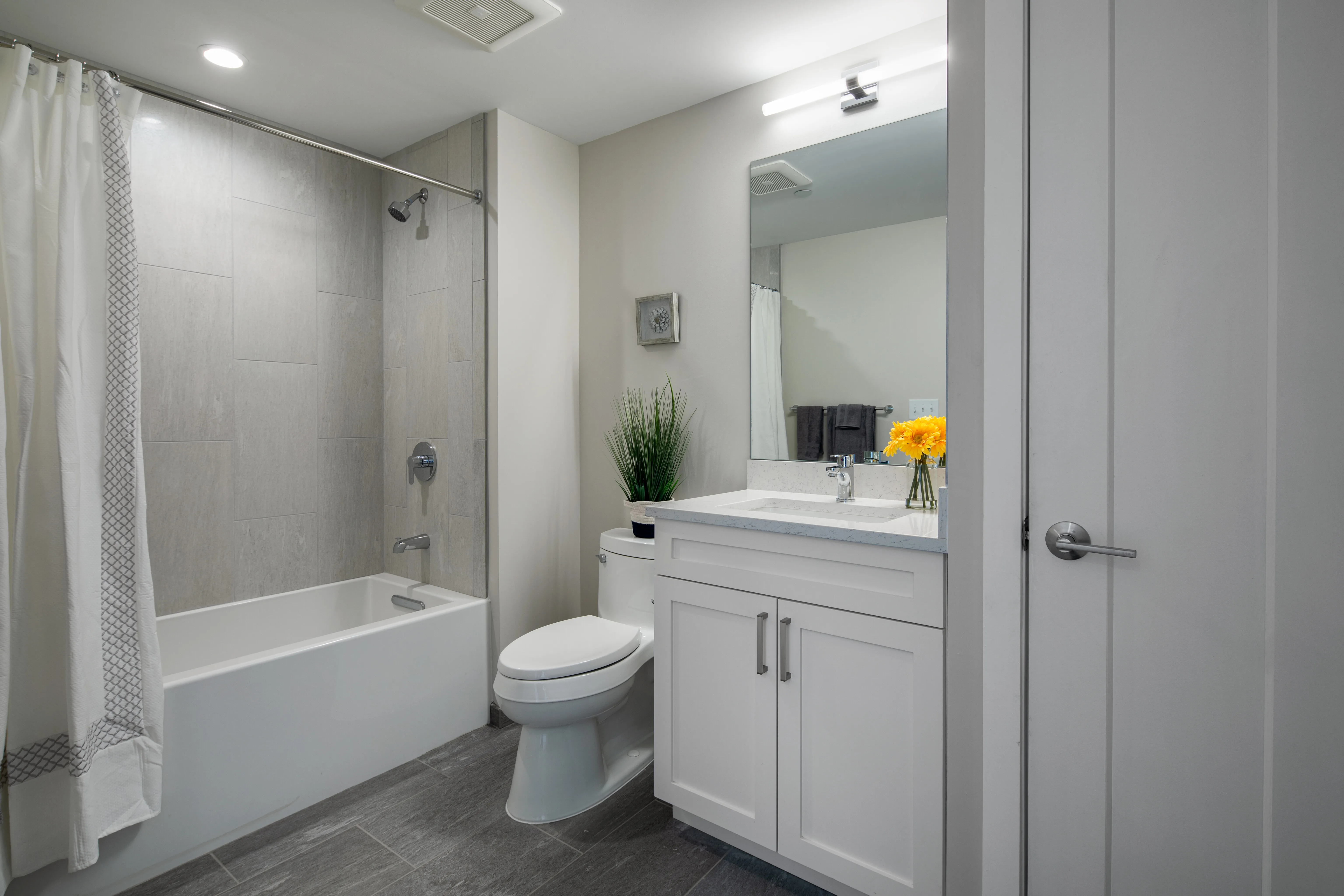 2 bed, 2 bath apartment for rent at 7 Beech St Unit 312, North Cambridge — photo 6 of 8
