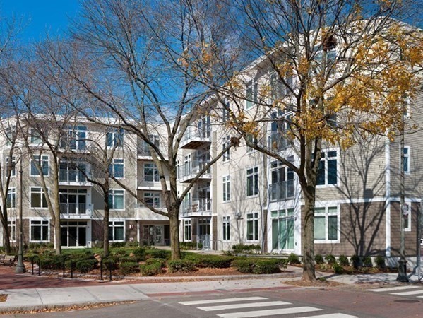 2 bed, 2 bath apartment for rent at 7 Cameron Ave Unit 102, North Cambridge — photo 8 of 12