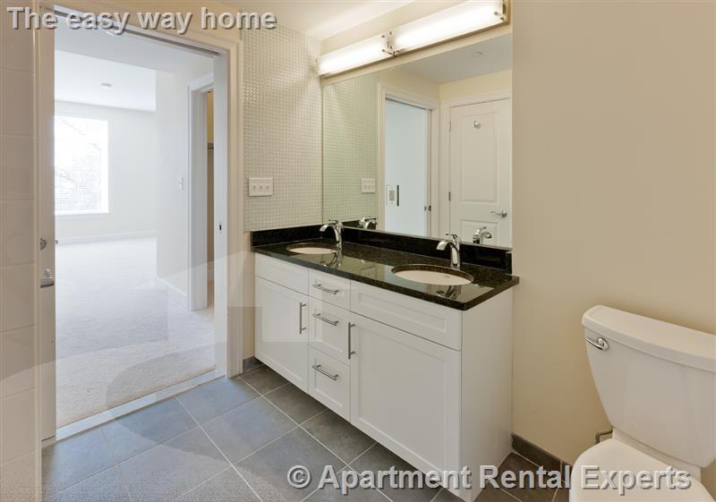 2 bed, 2 bath apartment for rent at 7 Cameron Ave Unit 103, Davis Square — photo 6 of 7