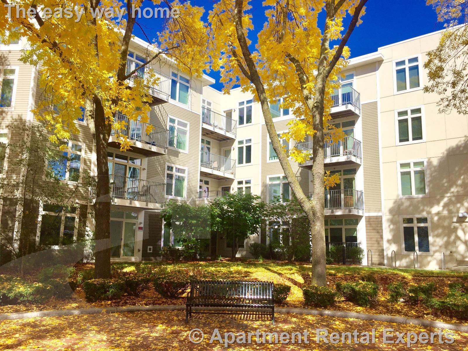 2 bed, 2 bath apartment for rent at 7 Cameron Ave Unit 202, Davis Square — photo 17 of 17