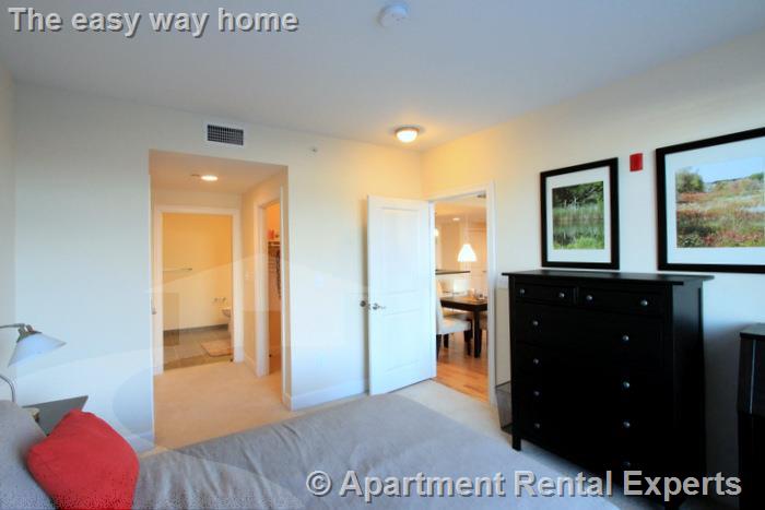 2 bed, 2 bath apartment for rent at 7 Cameron Ave Unit 202, Davis Square — photo 14 of 17