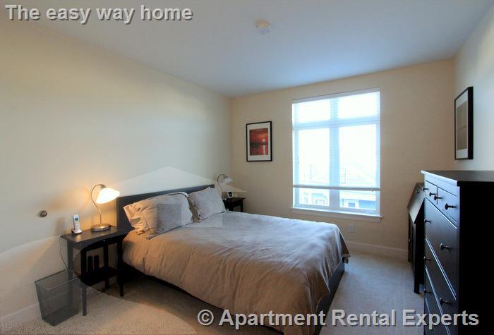 2 bed, 2 bath apartment for rent at 7 Cameron Ave Unit 202, Davis Square — photo 4 of 17