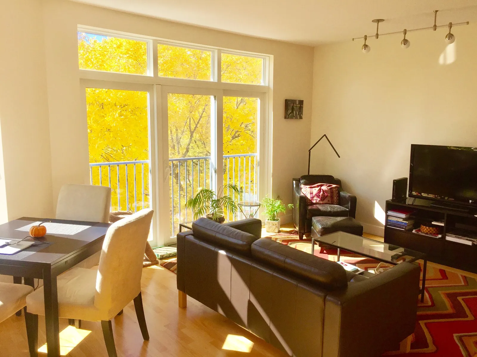 2 bed, 2 bath apartment for rent at 7 Cameron Ave Unit 408, North Cambridge — photo 3 of 11