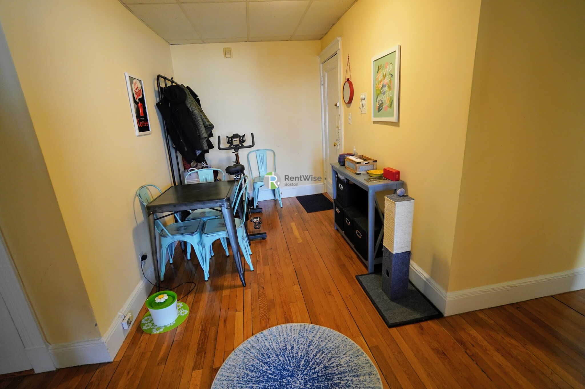 2 bed, 1 bath apartment for rent at 7 Carol Ave Unit 12, Brighton — photo 7 of 19