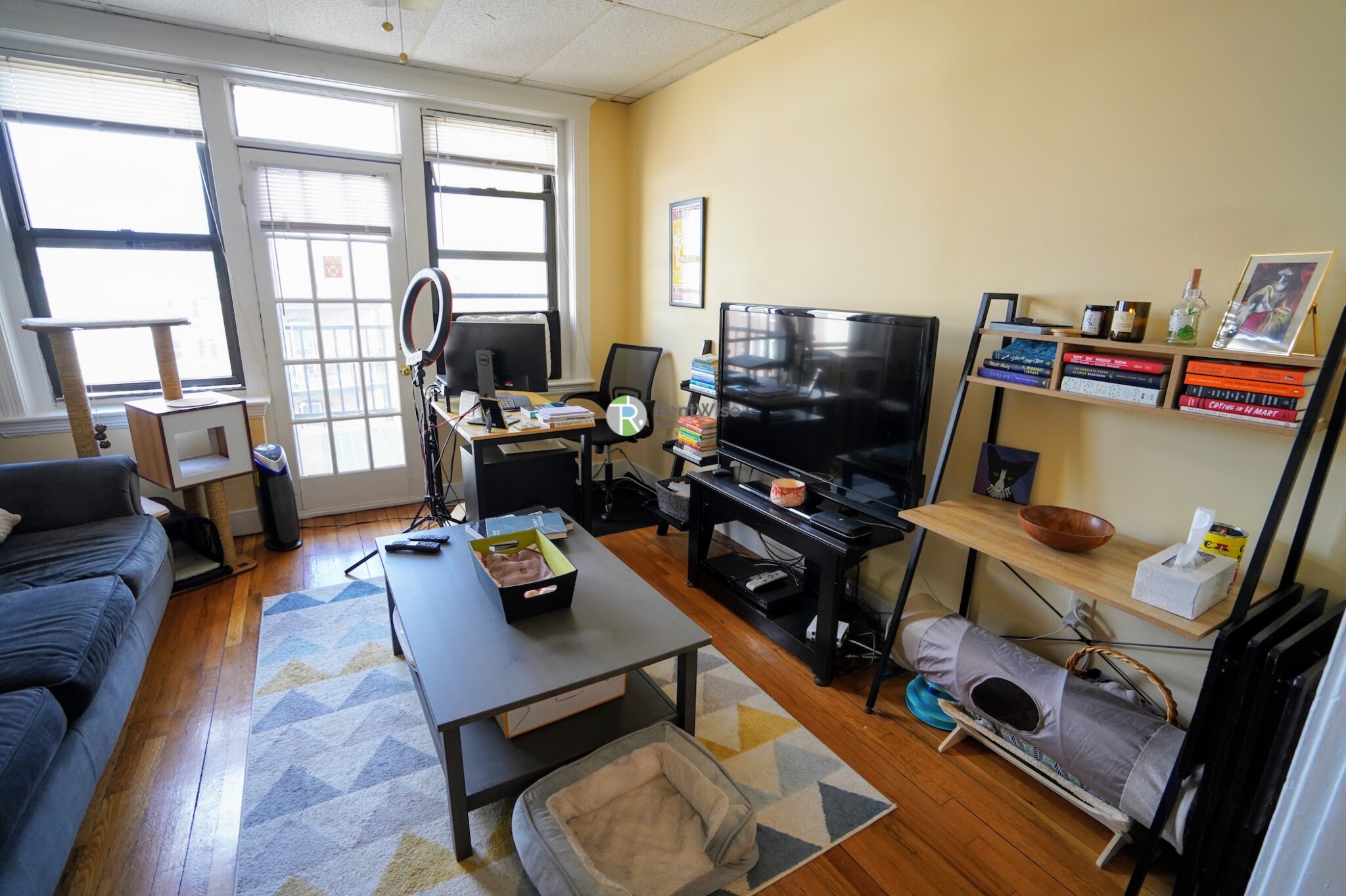 2 bed, 1 bath apartment for rent at 7 Carol Ave Unit 12, Brighton — photo 2 of 19