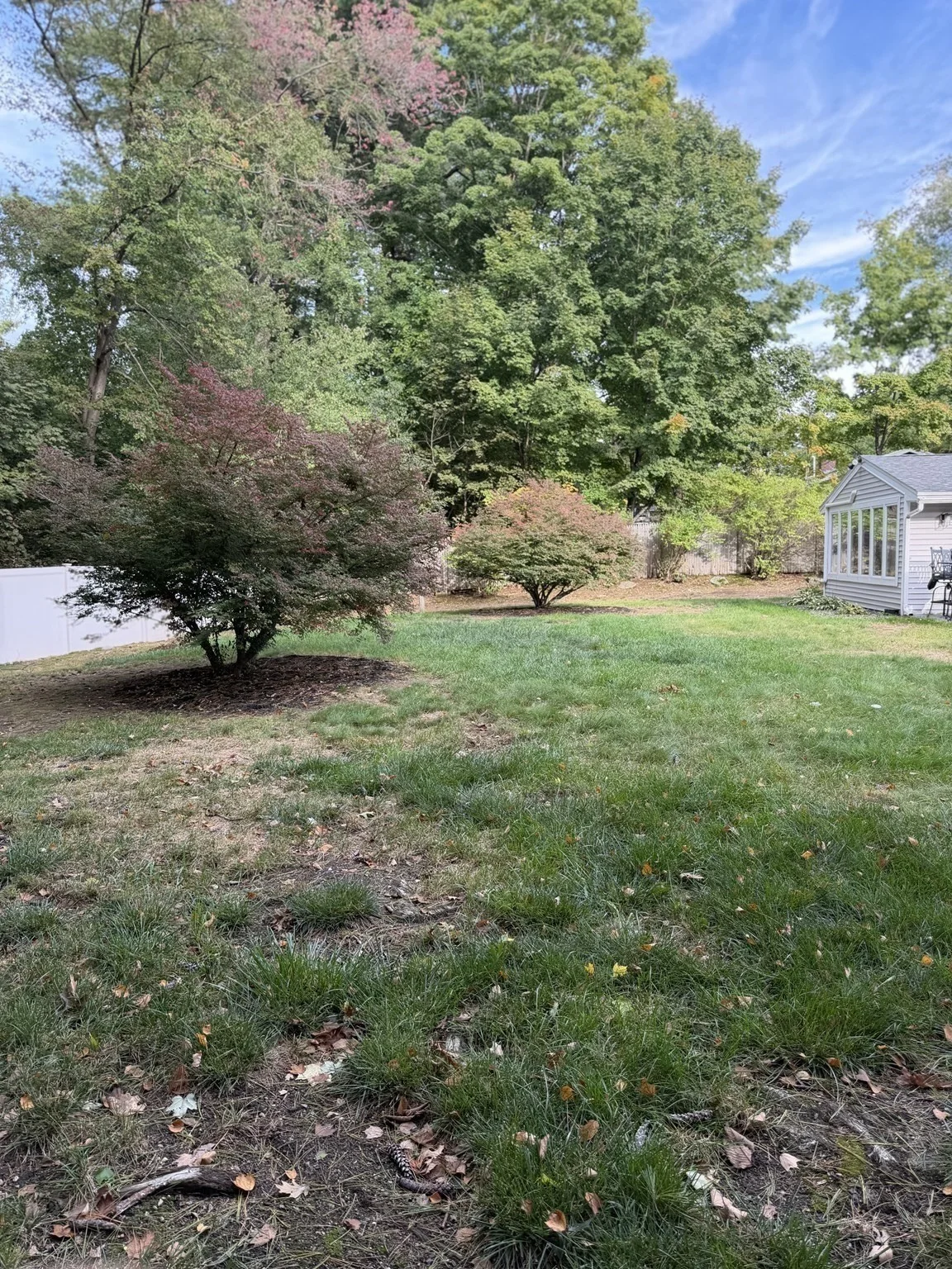 3 bed, 1 bath apartment for rent at 7 Craig Rd, Chelmsford — photo 12 of 20