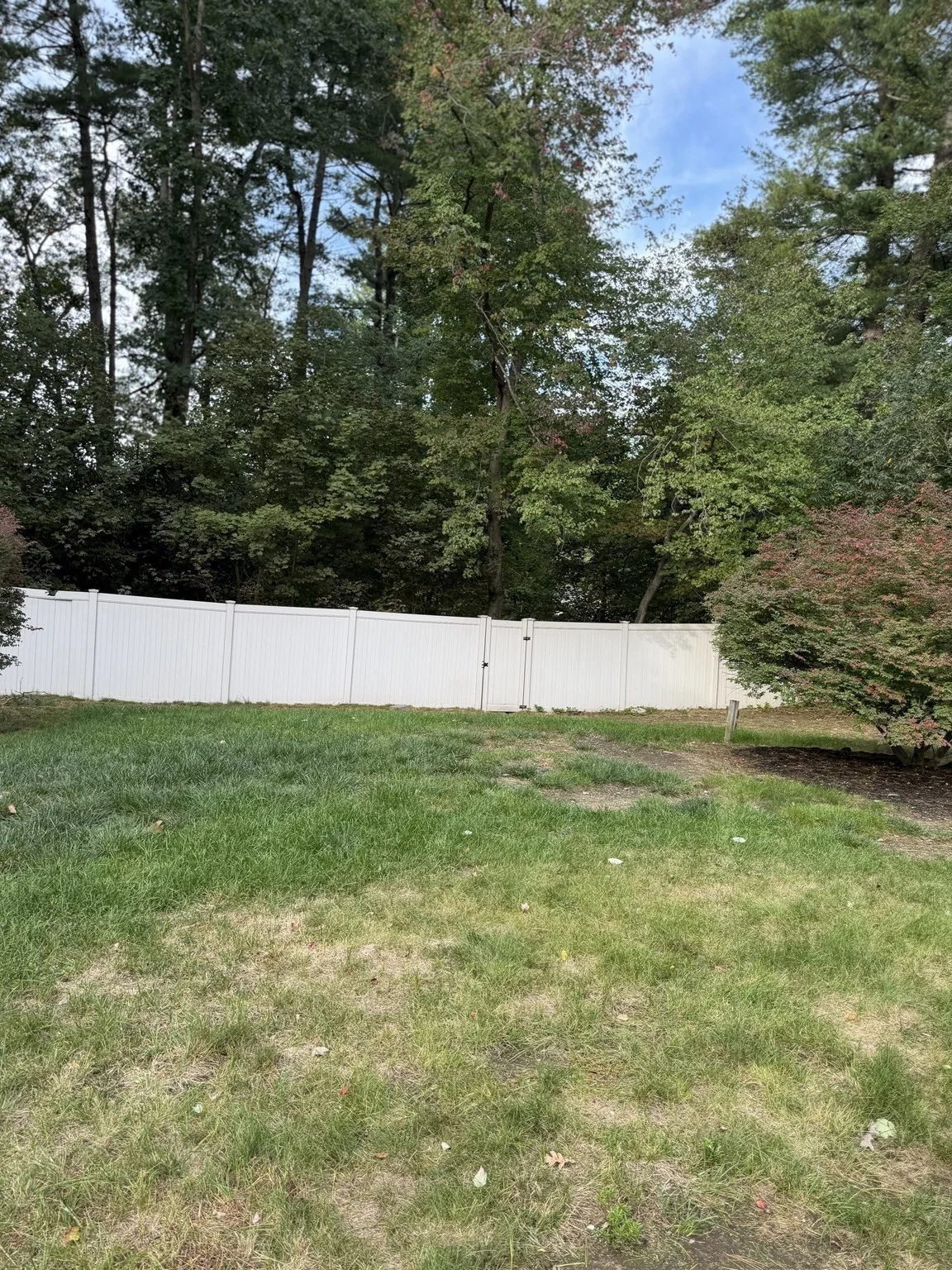 3 bed, 1 bath apartment for rent at 7 Craig Rd, Chelmsford — photo 19 of 20