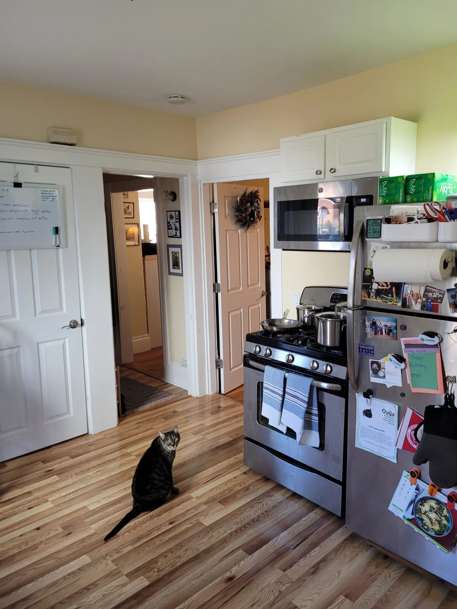 2 bed, 1 bath apartment for rent at 7 Craigie Ter Unit 1, Spring Hill — photo 6 of 12