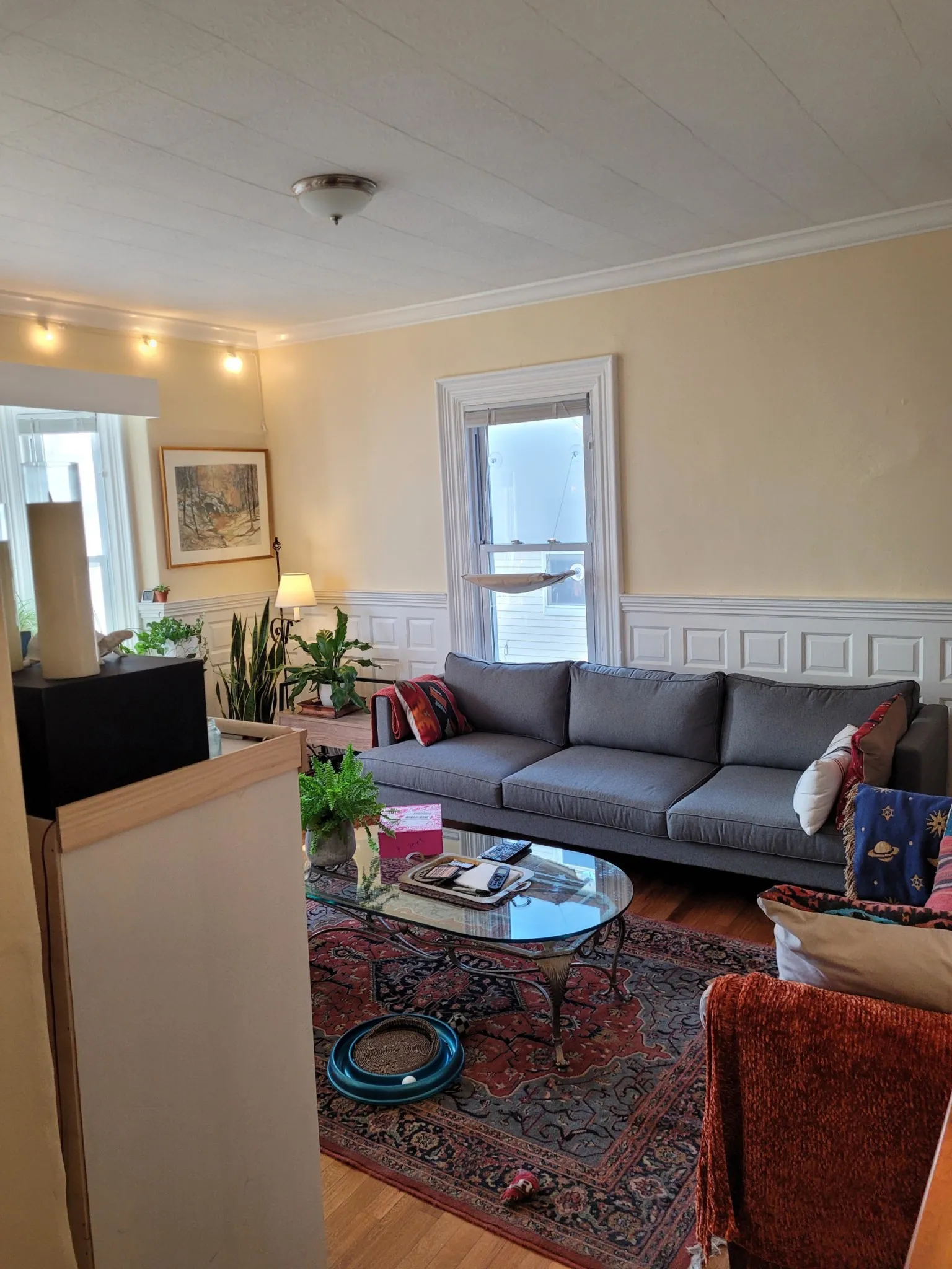 2 bed, 1 bath apartment for rent at 7 Craigie Ter Unit 1, Spring Hill — photo 1 of 12
