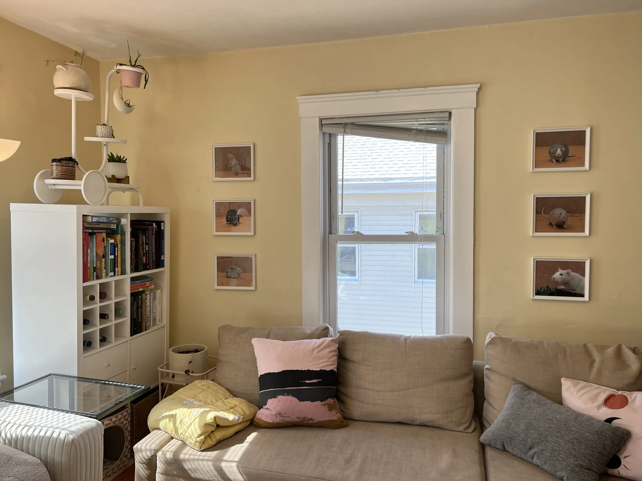 3 bed, 1 bath apartment for rent at 7 Craigie Ter Unit 2, Spring Hill — photo 8 of 37
