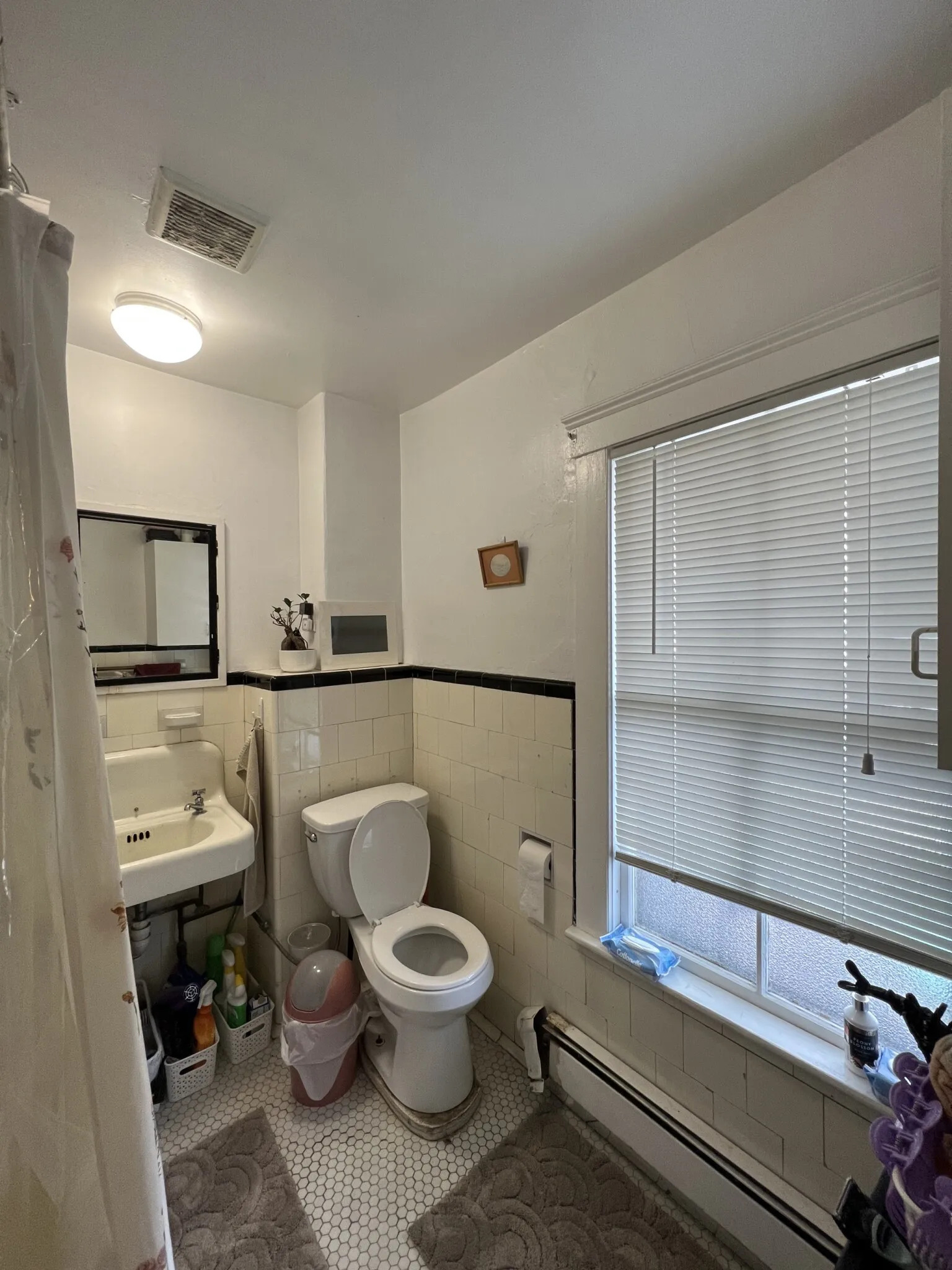 3 bed, 1 bath apartment for rent at 7 Craigie Ter Unit 2, Spring Hill — photo 22 of 37