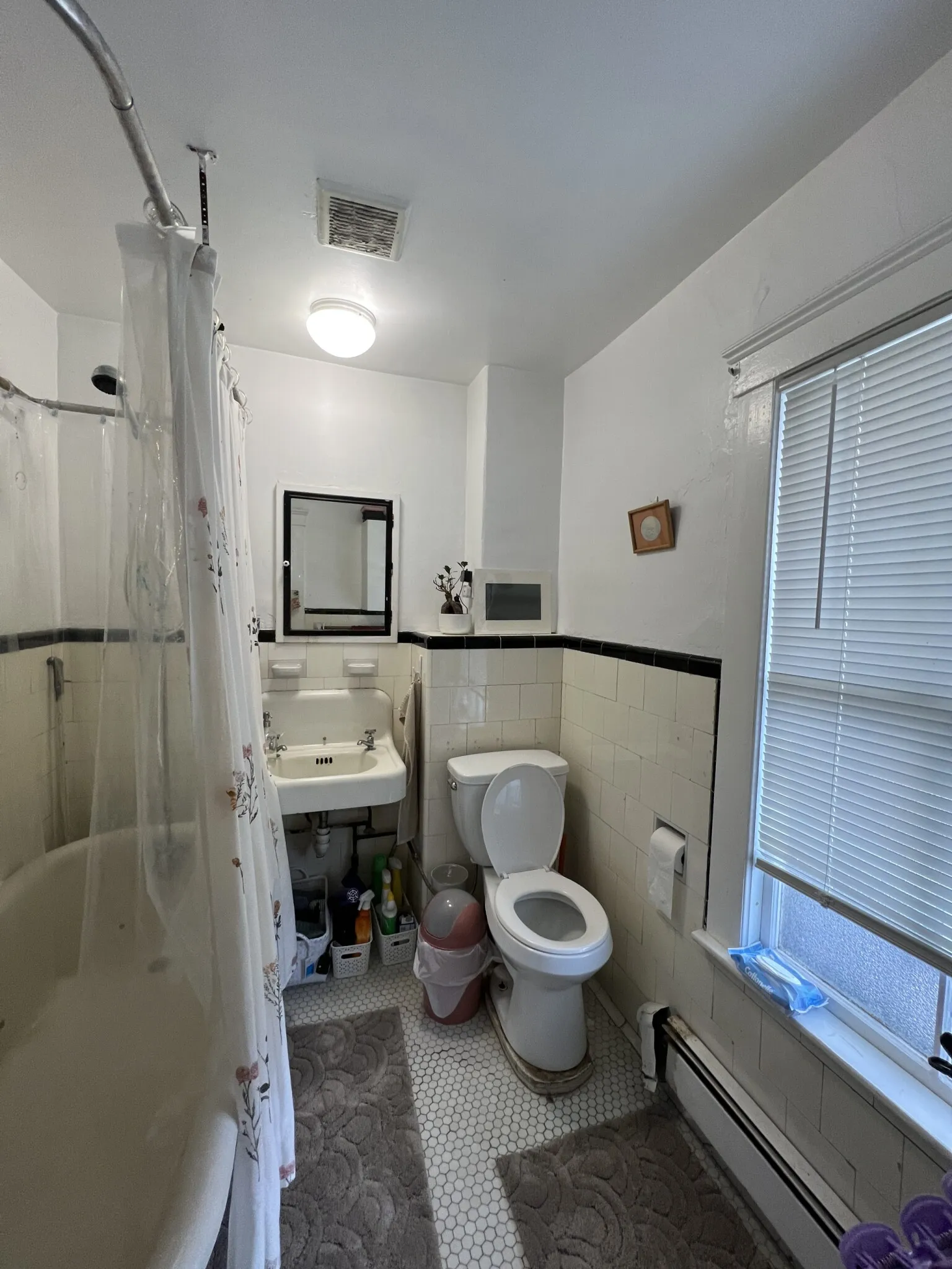 3 bed, 1 bath apartment for rent at 7 Craigie Ter Unit 3, Spring Hill — photo 21 of 35
