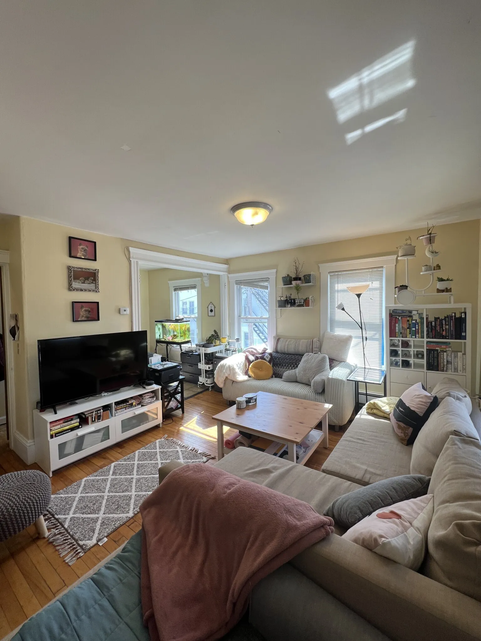 3 bed, 1 bath apartment for rent at 7 Craigie Ter Unit 7#2, Spring Hill — photo 3 of 33