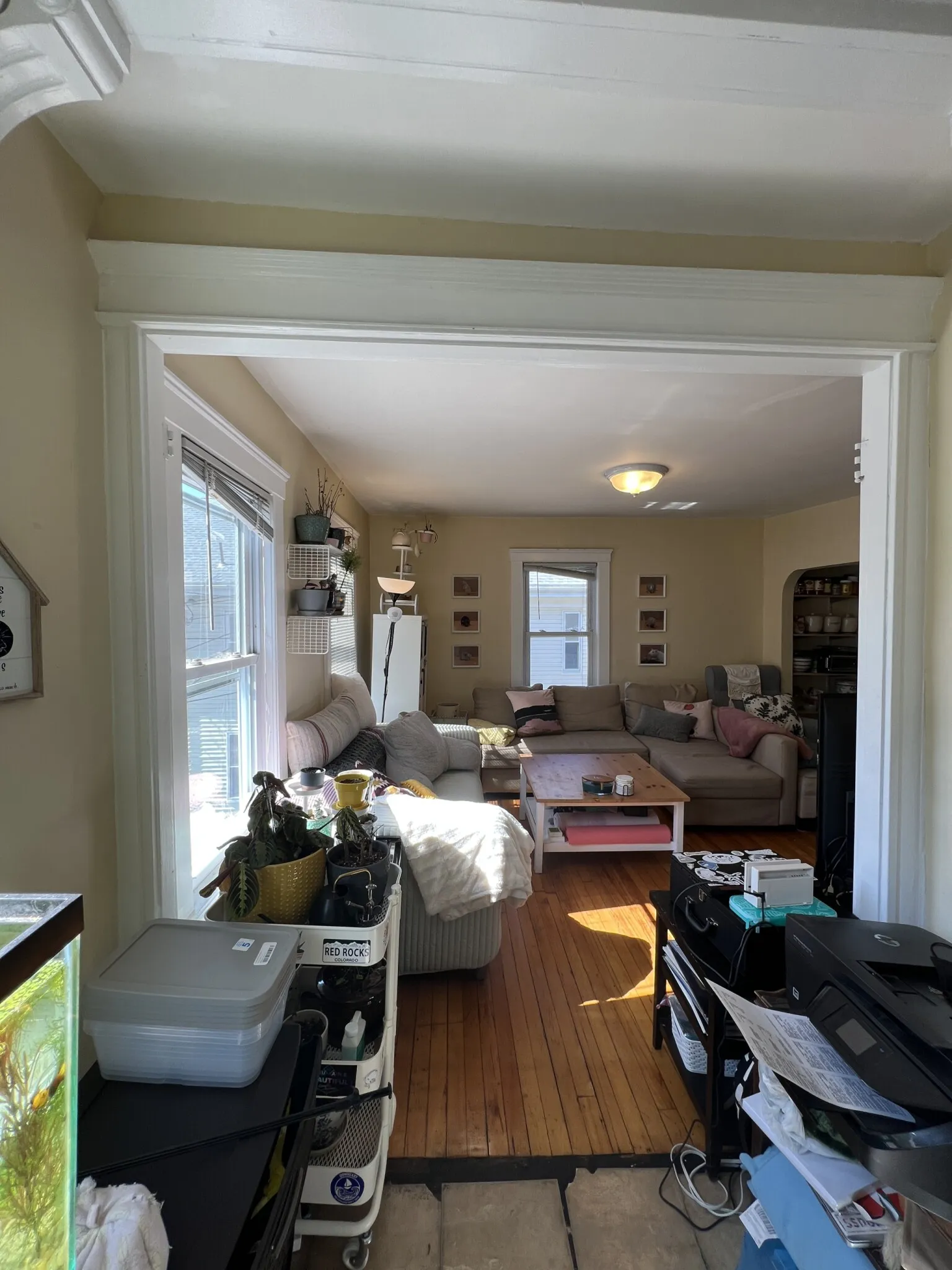 3 bed, 1 bath apartment for rent at 7 Craigie Ter Unit 7#2, Spring Hill — photo 5 of 33