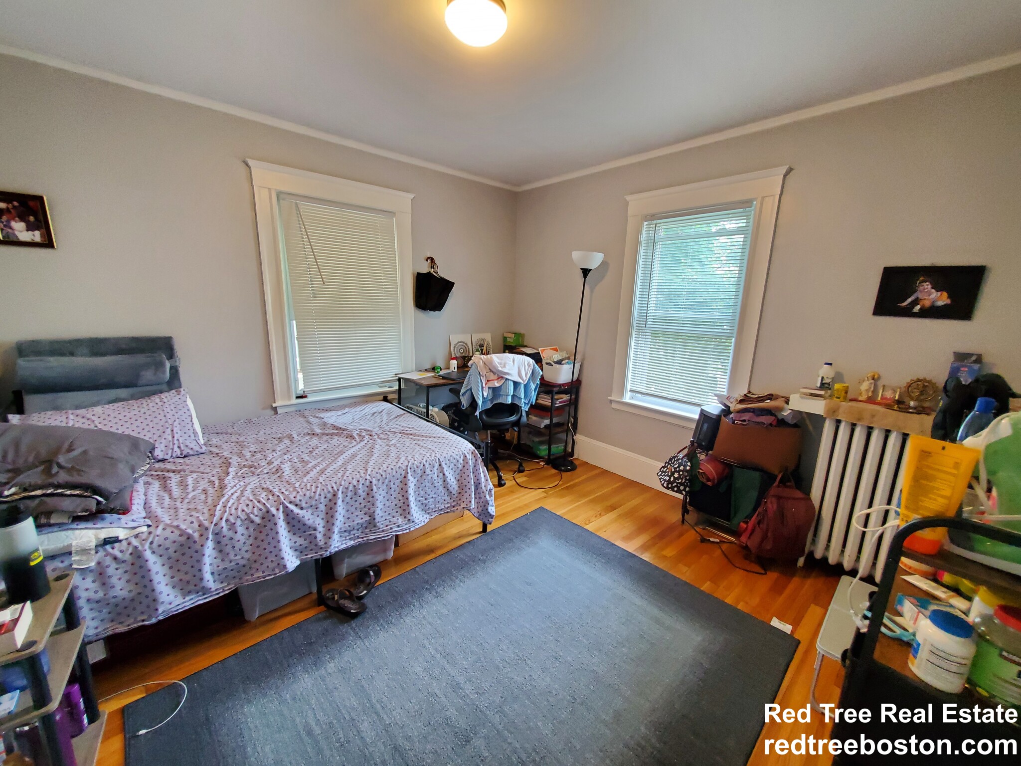 4 bed, 2 bath apartment for rent at 7 Elmira St, Brighton — photo 6 of 16