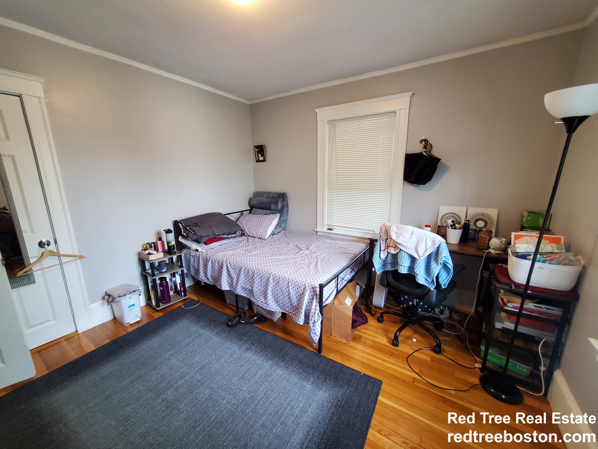 4 bed, 2 bath apartment for rent at 7 Elmira St, Brighton — photo 5 of 16