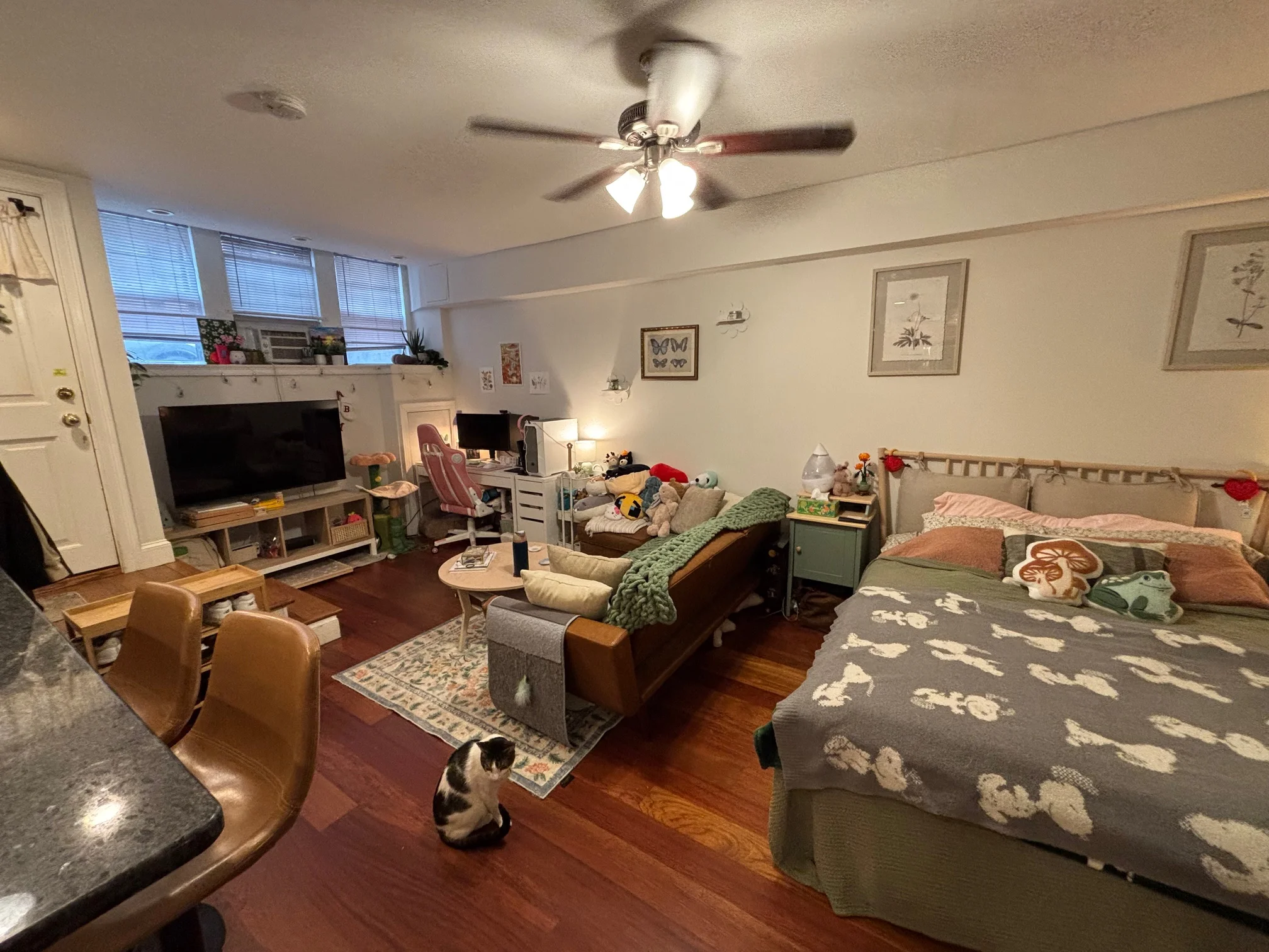 Studio bed, 1 bath apartment for rent at 7 Grove St Unit BF, Beacon Hill — photo 6 of 12