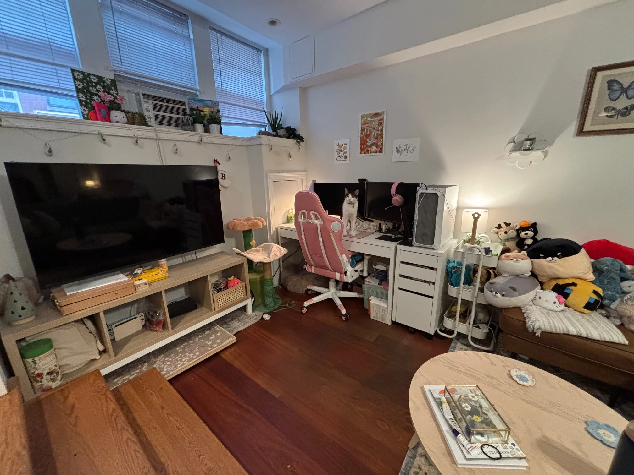 Studio bed, 1 bath apartment for rent at 7 Grove St Unit BF, Beacon Hill — photo 7 of 12