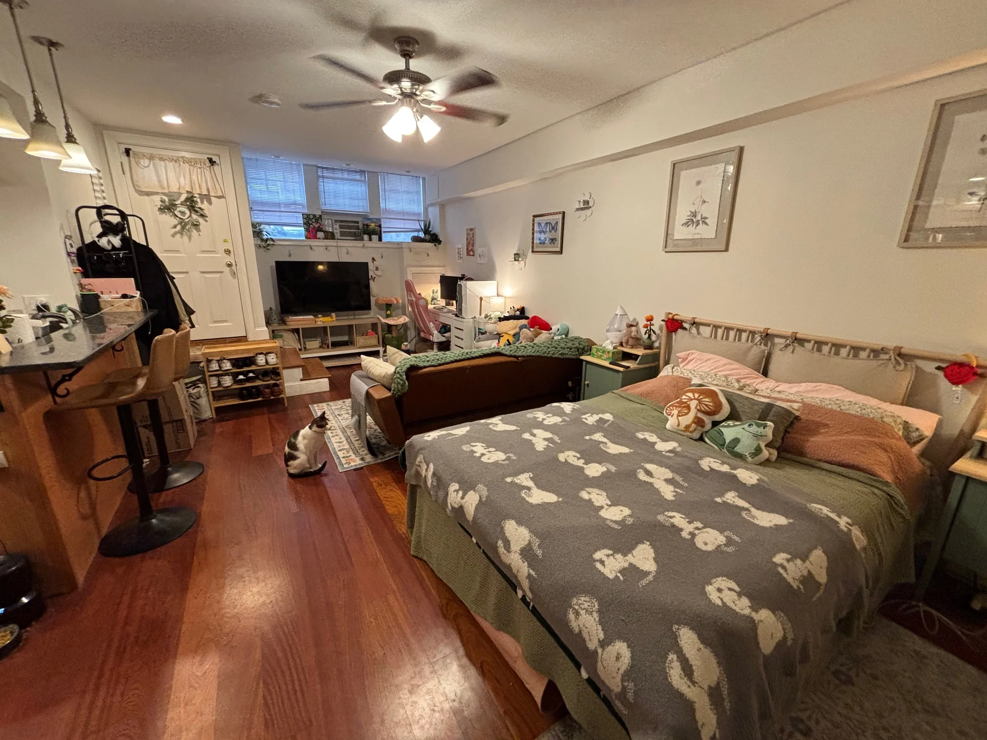 Studio bed, 1 bath apartment for rent at 7 Grove St Unit BF, Beacon Hill — photo 2 of 12