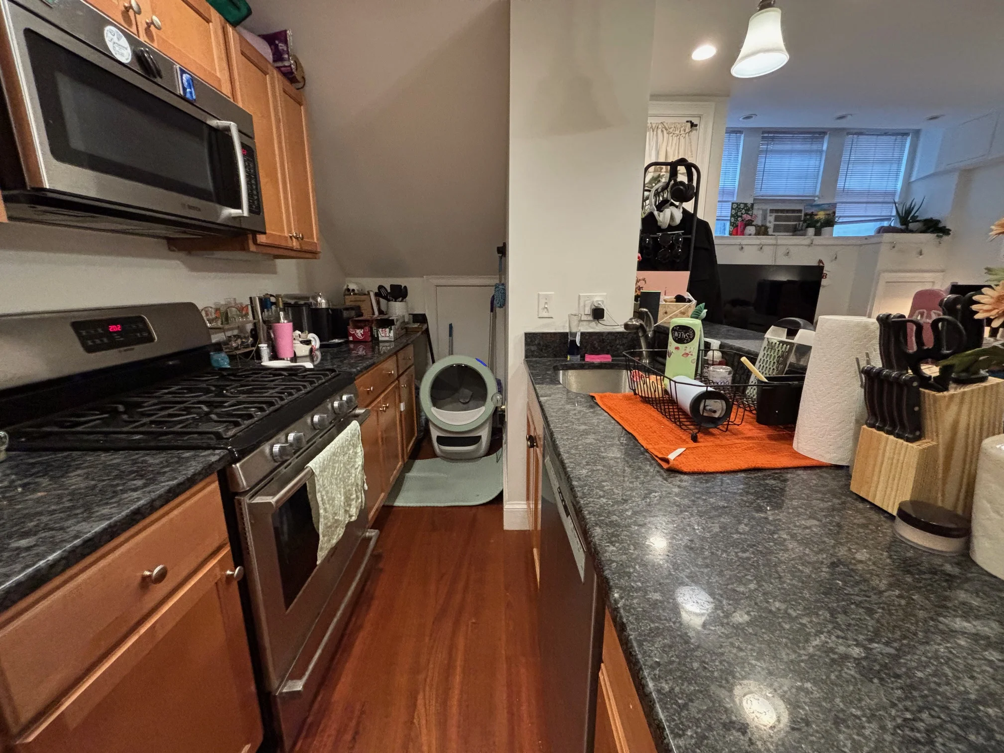 Studio bed, 1 bath apartment for rent at 7 Grove St Unit BF, Beacon Hill — photo 5 of 12
