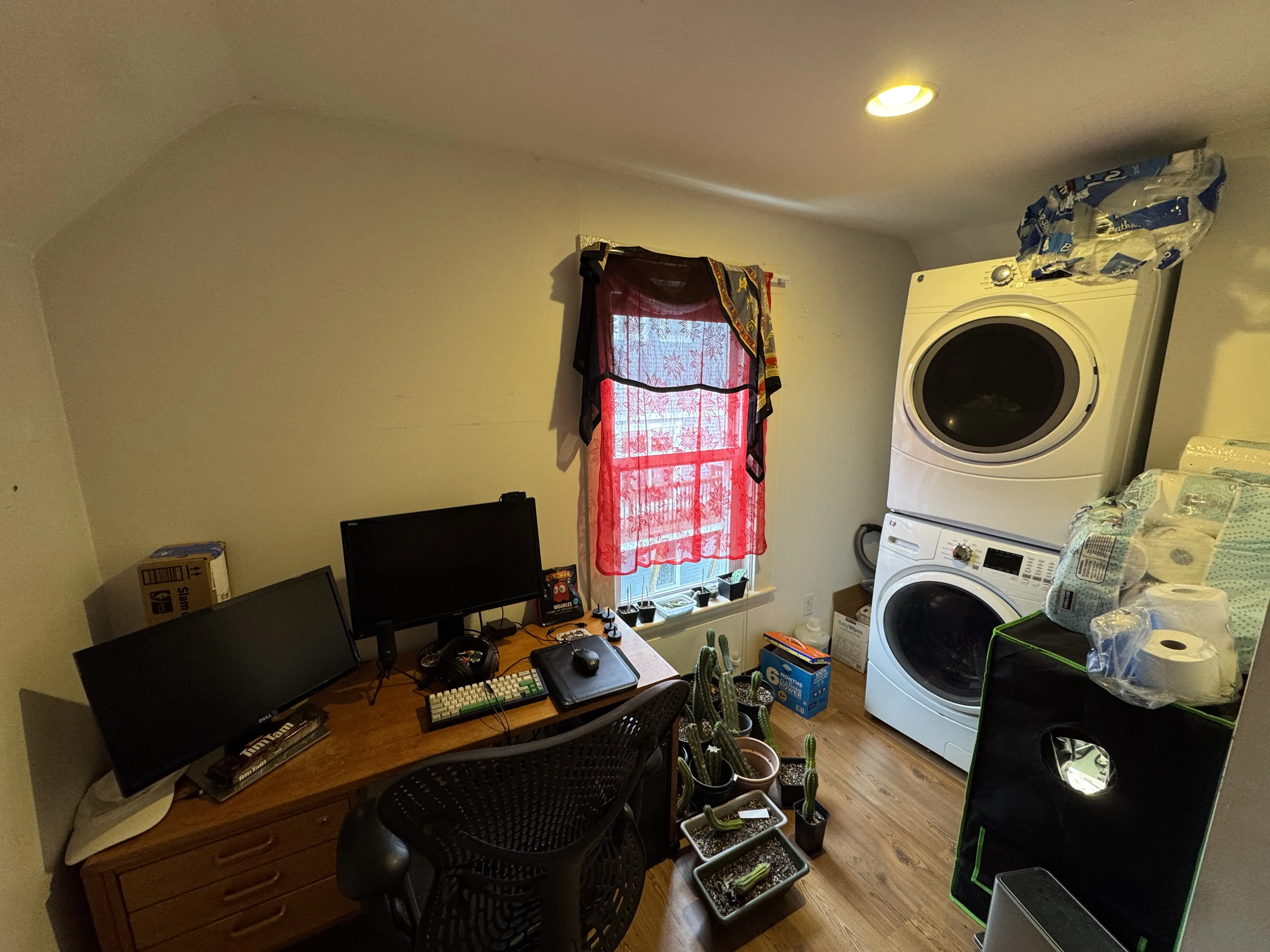 1 bed, 1 bath apartment for rent at 7 Jay St Unit 3, Davis Square — photo 13 of 18