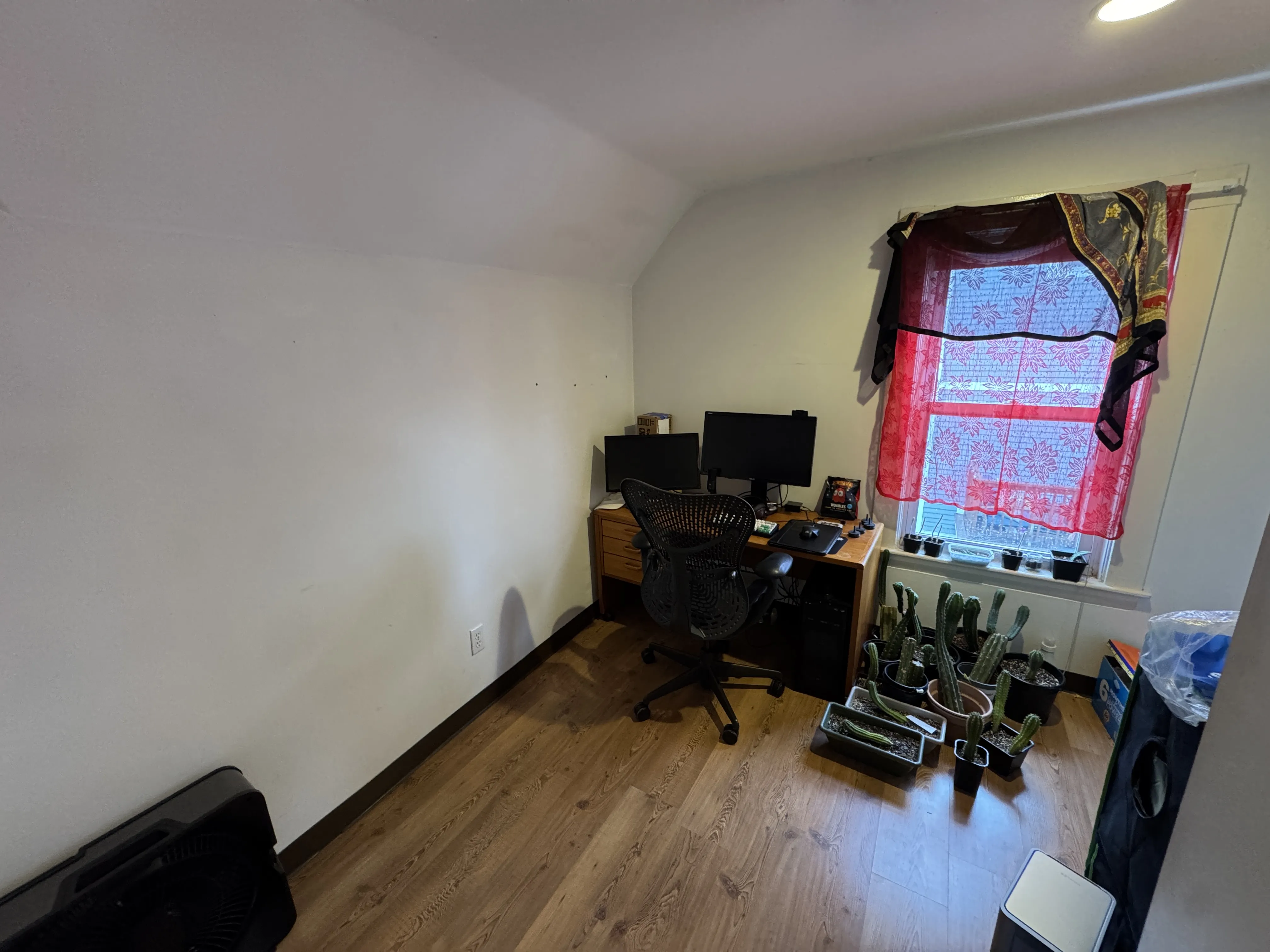 1 bed, 1 bath apartment for rent at 7 Jay St Unit 3, Davis Square — photo 12 of 18