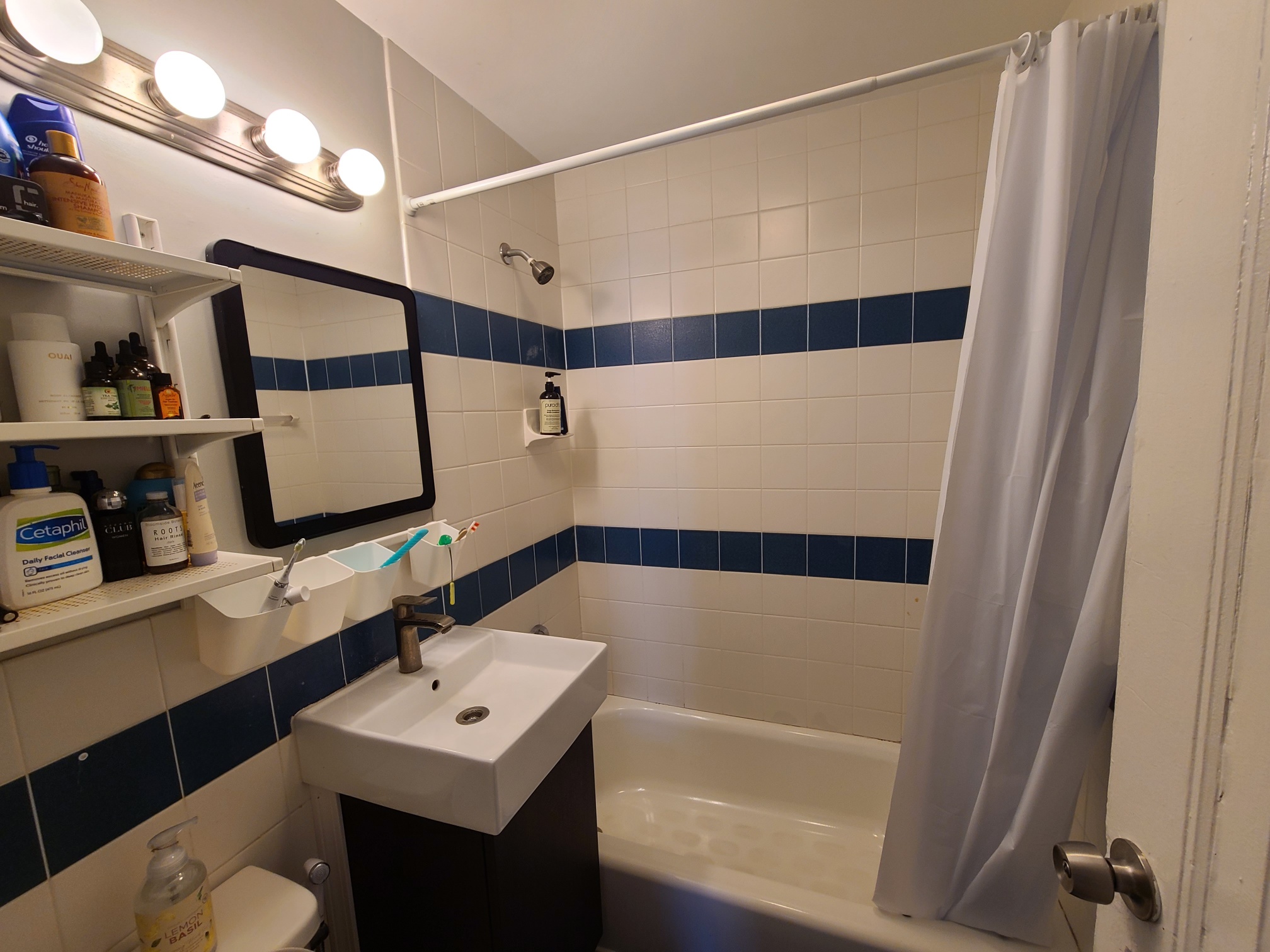 3 bed, 1 bath apartment for rent at 7 Lothian Rd Unit 11, Brighton — photo 4 of 9