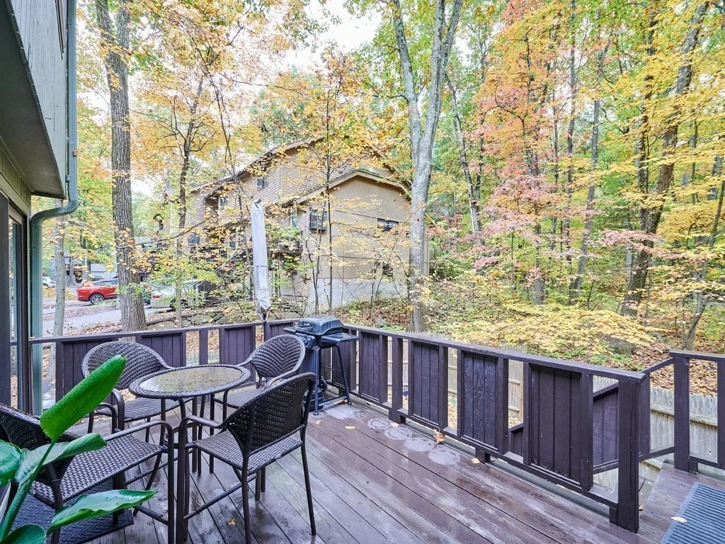 2 bed, 2 bath apartment for rent at 7 Mountain Gate Rd Unit 7, Ashland — photo 15 of 15