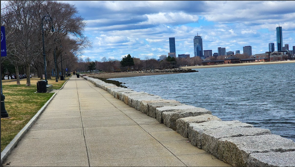 2 bed, 2 bath apartment for rent at 7 Ocean View Dr Unit 501, Dorchester — photo 10 of 21