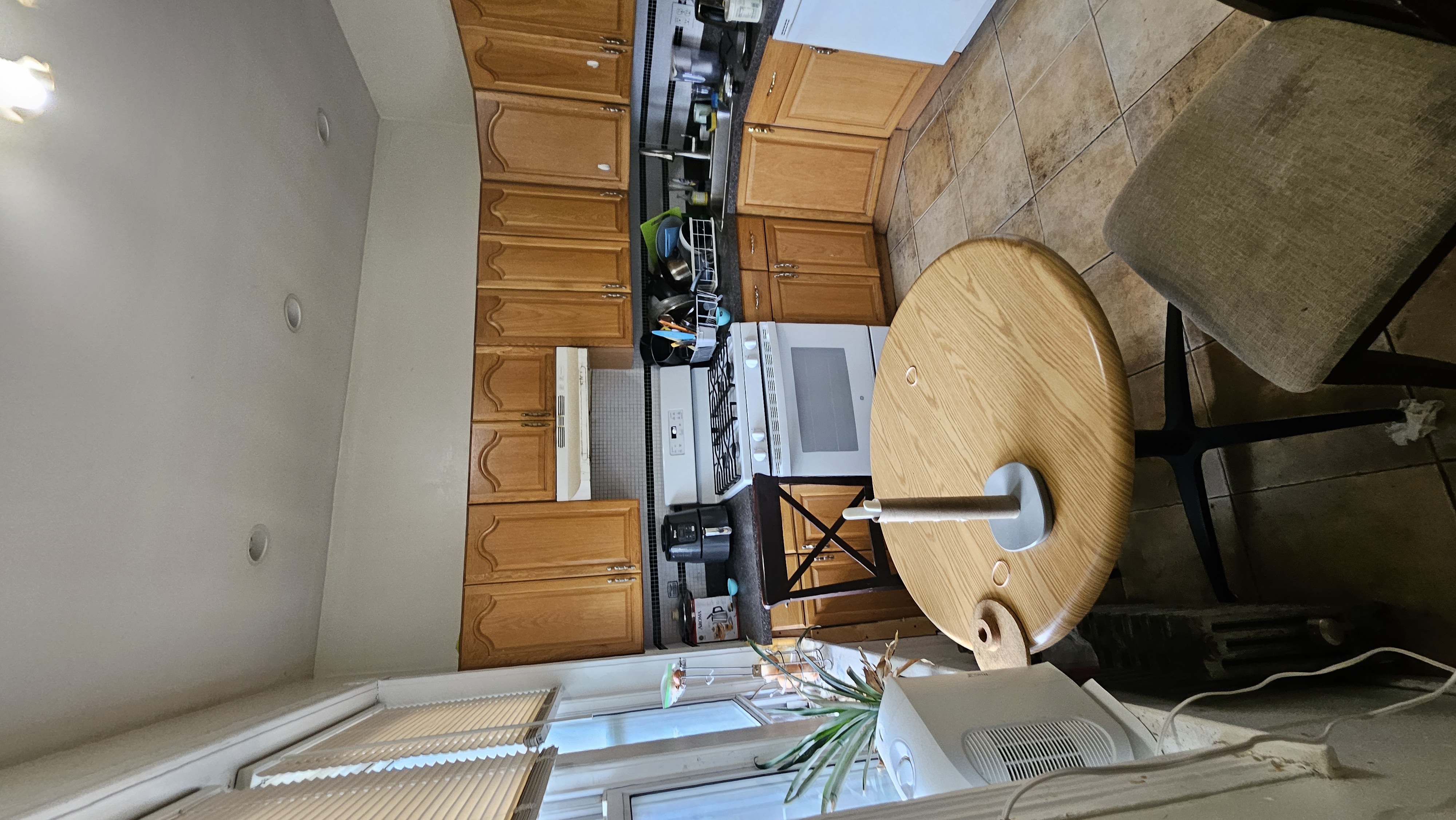 4 bed, 2 bath apartment for rent at 7 Price Rd Unit 5, Brighton — photo 4 of 27