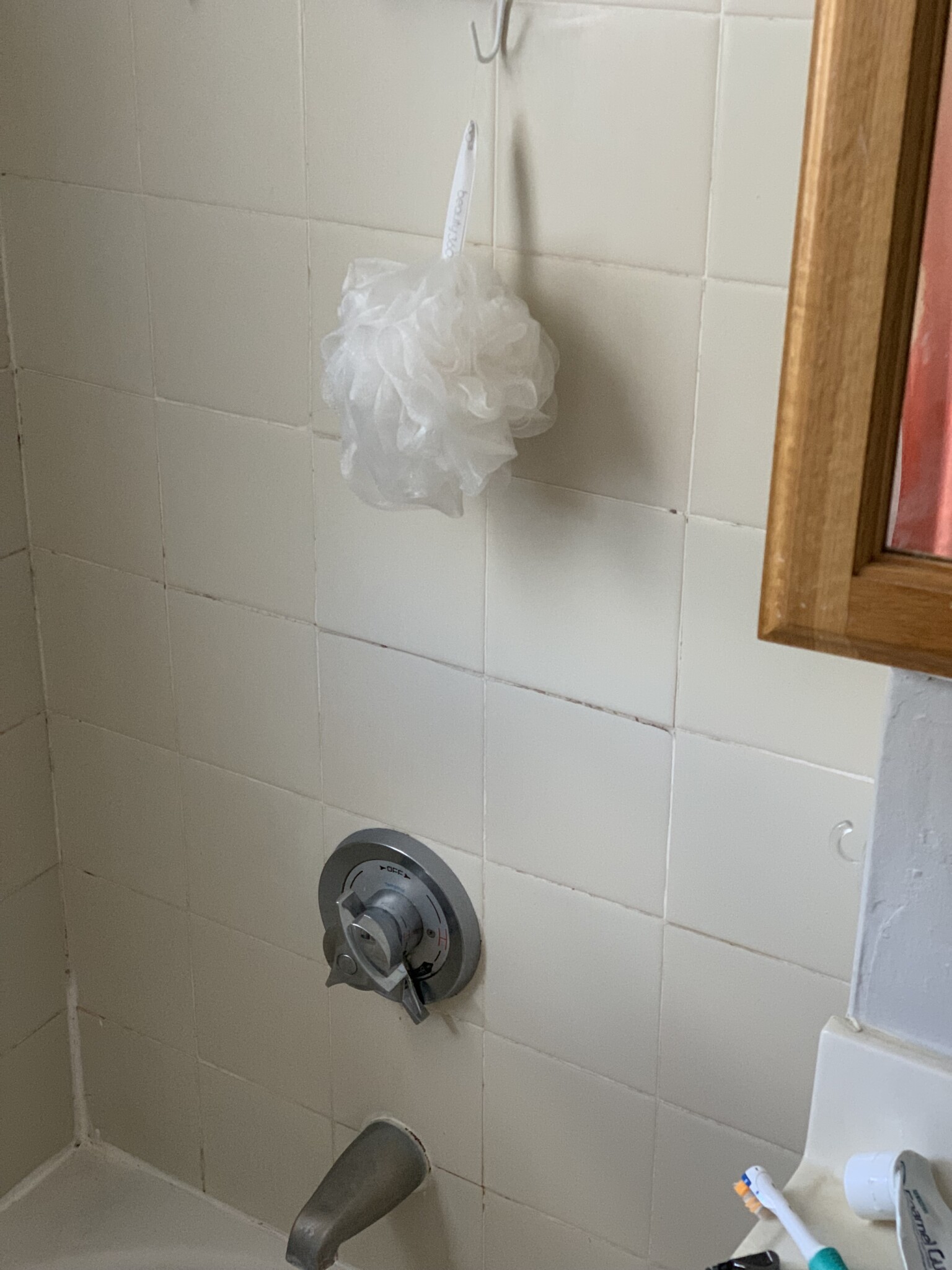 1 bed, 1 bath apartment for rent at 7 Roxana St Unit 1R, Hyde Park — photo 3 of 4