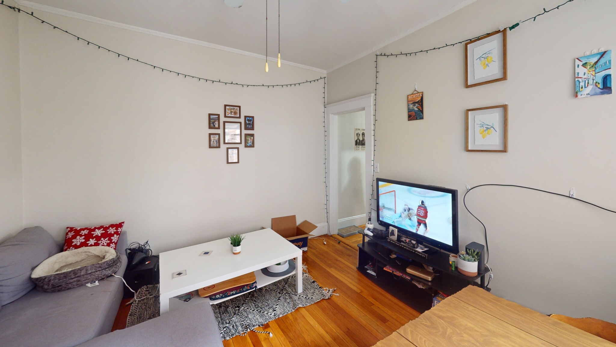 1 bed, 1 bath apartment for rent at 7 Scottfield Rd Unit 3, Allston — photo 1 of 7
