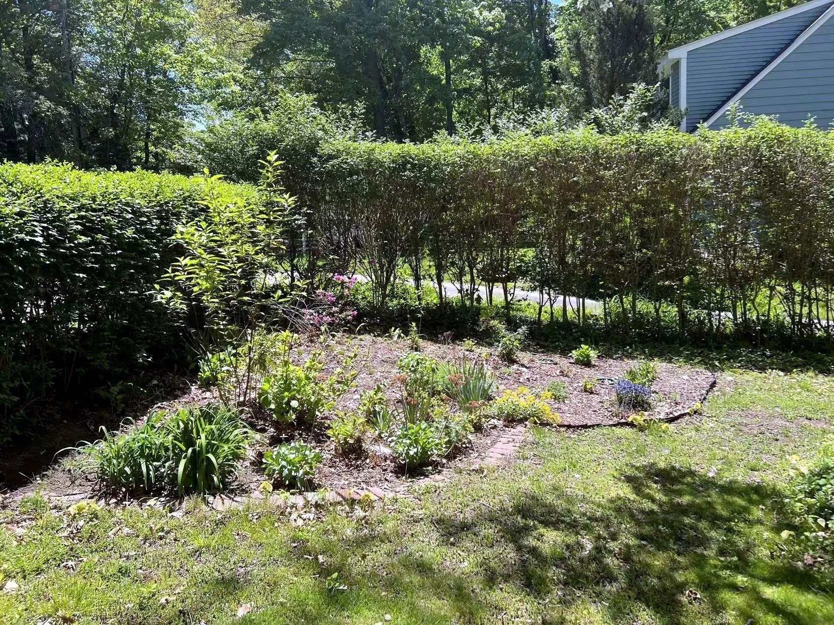 5 bed, 2 bath apartment for rent at 7 Springdale Ave, Wellesley — photo 23 of 24