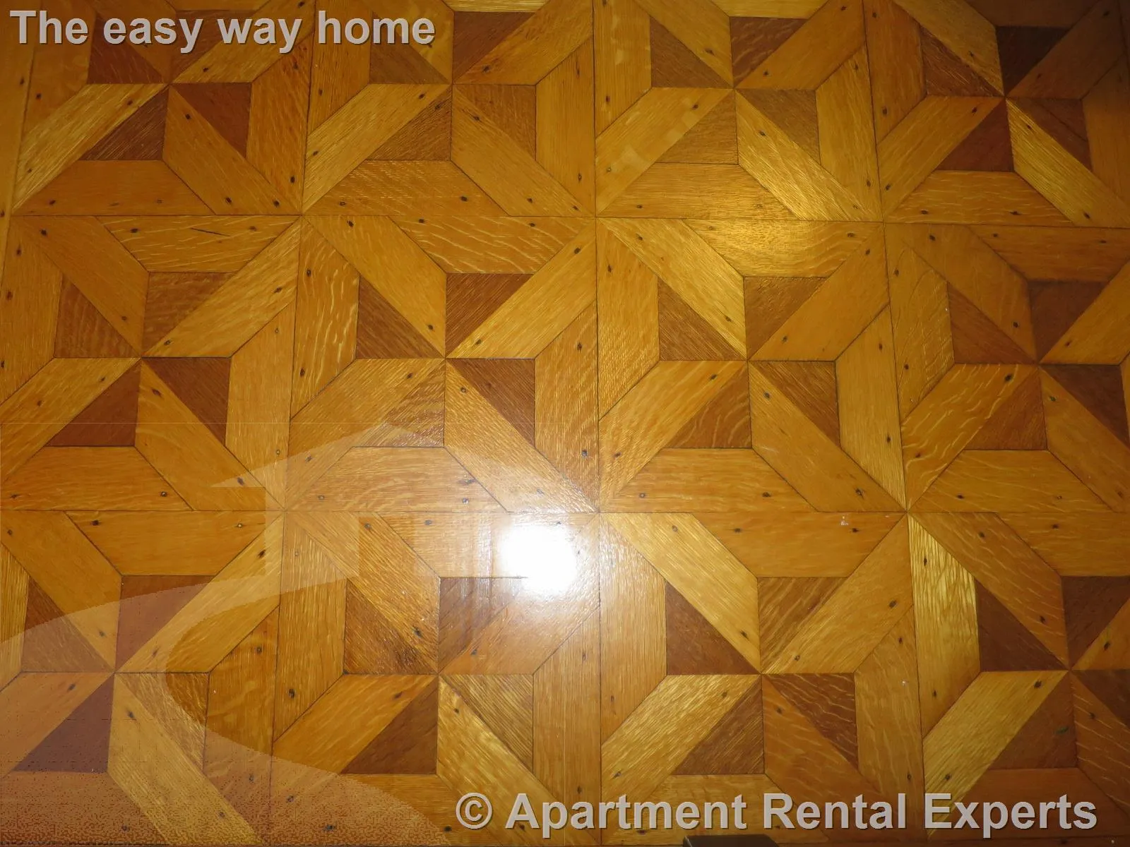 2 bed, 1 bath apartment for rent at 7 Wareham St, Tufts — photo 8 of 18