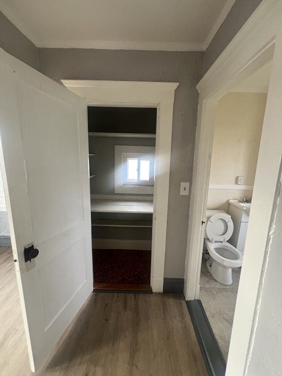 Studio bed, 1 bath apartment for rent at 7 Willet Unit 2, Quincy — photo 3 of 10