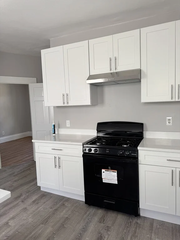 4 bed, 1 bath apartment for rent at 7 Woodward Park St Unit 3, Roxbury — photo 15 of 21