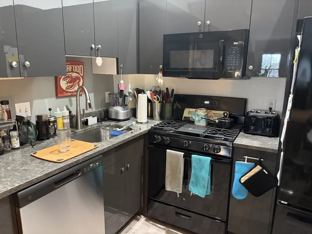1 bed, 1 bath apartment for rent at 70-72 Northampton Unit 302, South End — photo 8 of 13