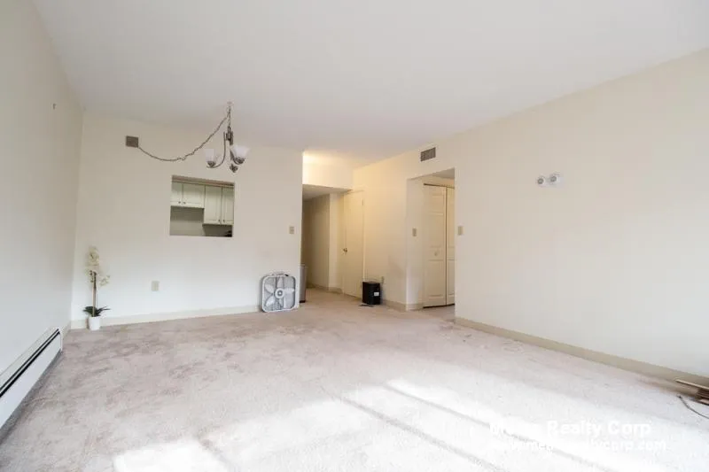 2 bed, 1 bath apartment for rent at 70 Centre St Unit 1D, Coolidge Corner — photo 8 of 16