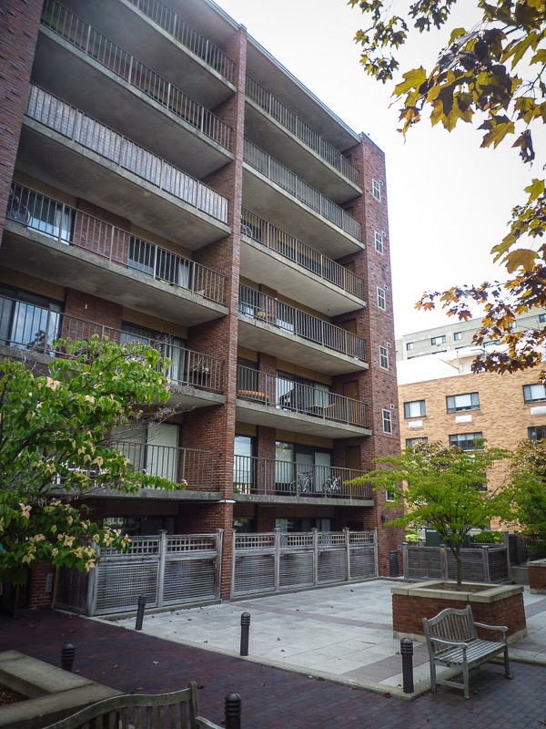 2 bed, 1 bath apartment for rent at 70 Centre St Unit 2D, Coolidge Corner — photo 6 of 8