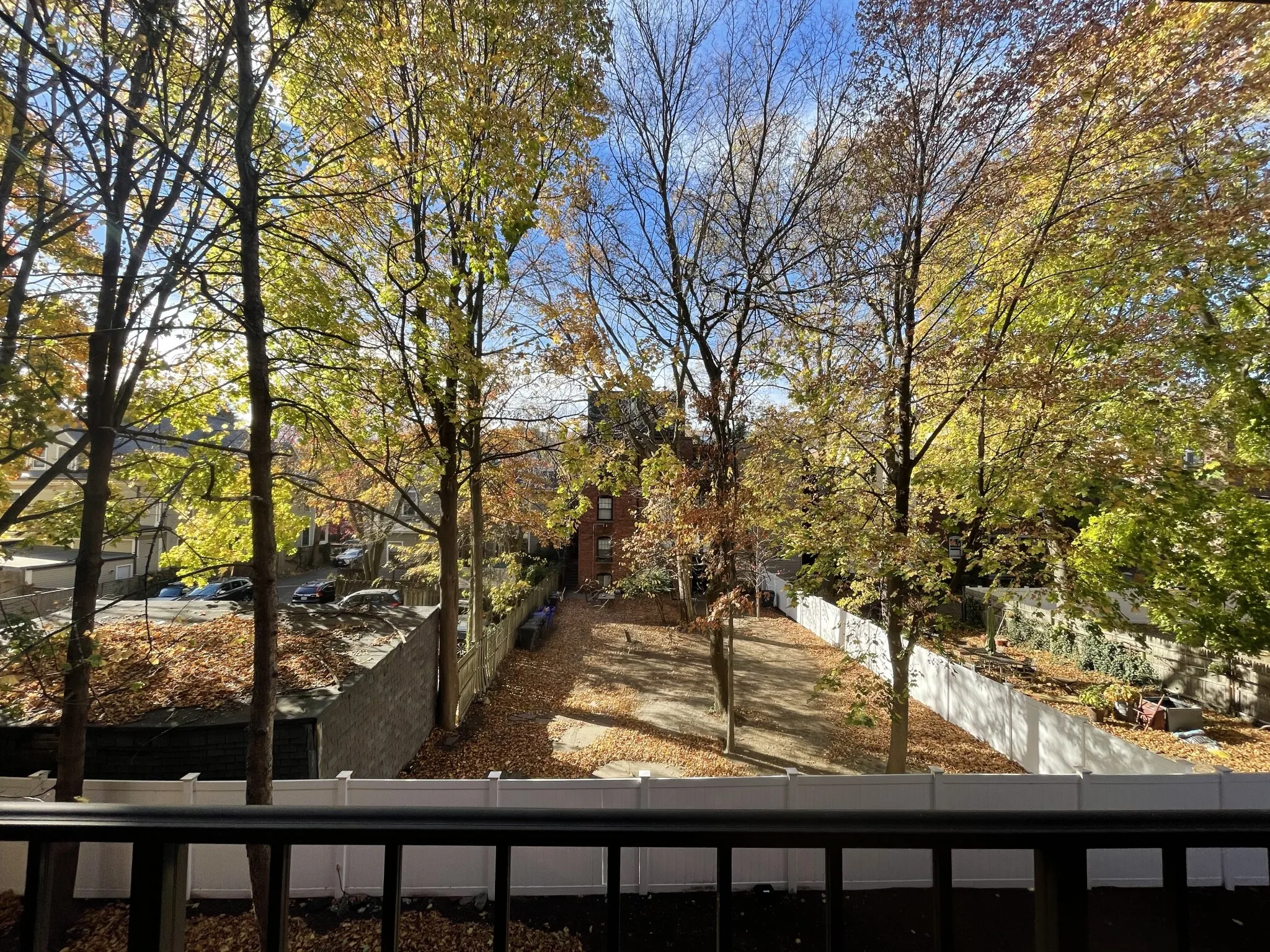1 bed, 1 bath apartment for rent at 70 Centre St Unit 3E, Coolidge Corner — photo 3 of 16
