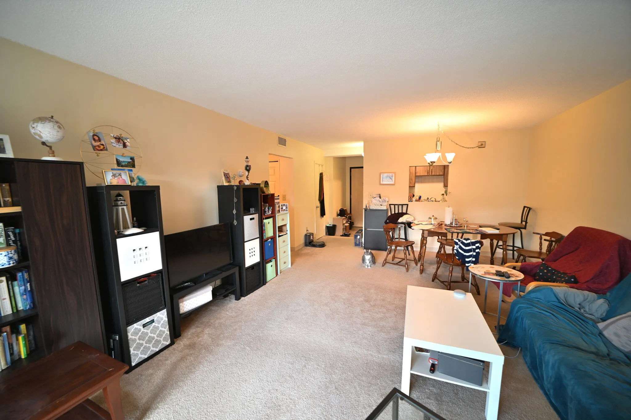 2 bed, 1 bath apartment for rent at 70 Centre St Unit 3F, Coolidge Corner — photo 1 of 9