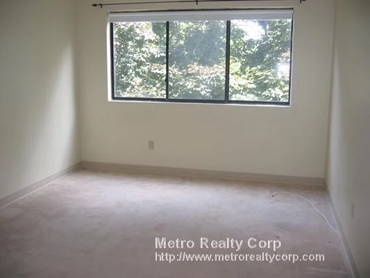 2 bed, 1 bath apartment for rent at 70 Centre St Unit 4D, Coolidge Corner — photo 3 of 7