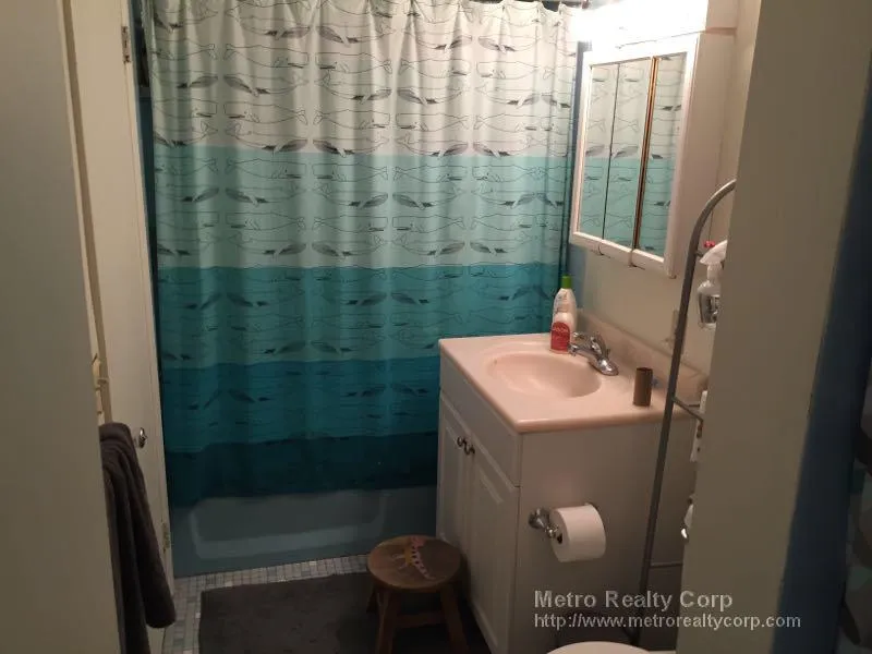 2 bed, 1 bath apartment for rent at 70 Centre St Unit 5D, Coolidge Corner — photo 7 of 11