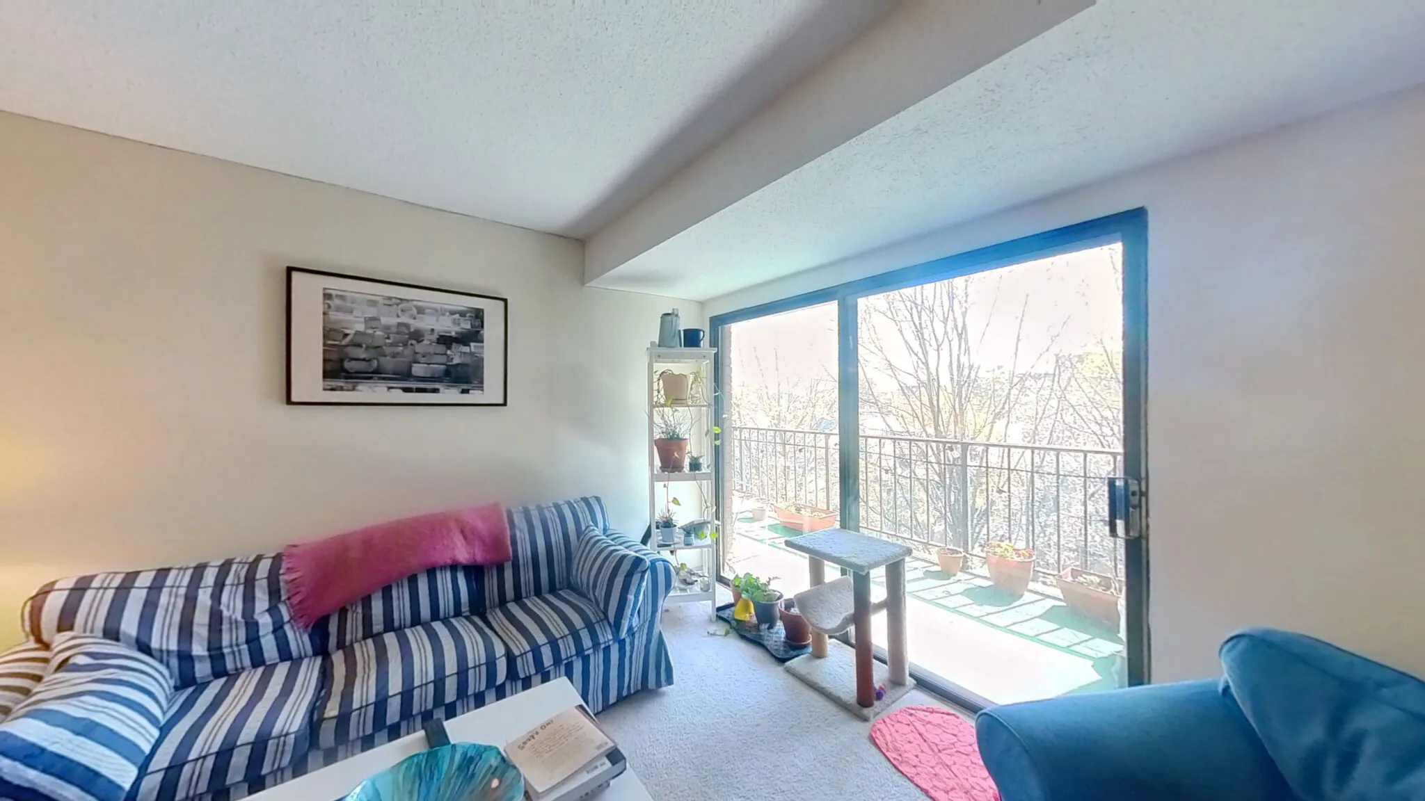 2 bed, 1 bath apartment for rent at 70 Centre St Unit 6D, Coolidge Corner — photo 2 of 22