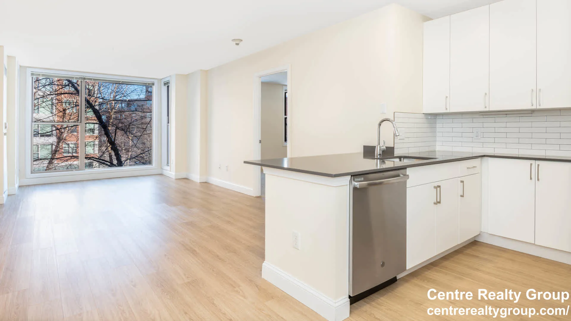 2 bed, 2 bath apartment for rent at 70 Hope Ave Unit 102, Banks Square — photo 2 of 11