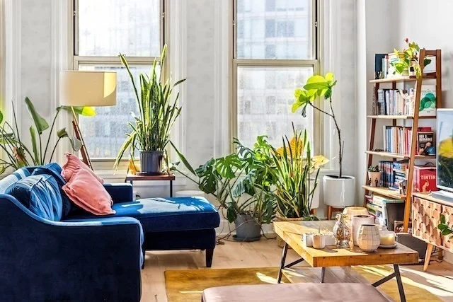 1 bed, 1 bath apartment for rent at 70 Lincoln St Unit L616, Leather District