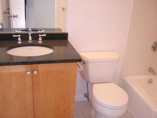 2 bed, 1 bath apartment for rent at 70 Park St Unit 6, Ward Two — photo 2 of 8