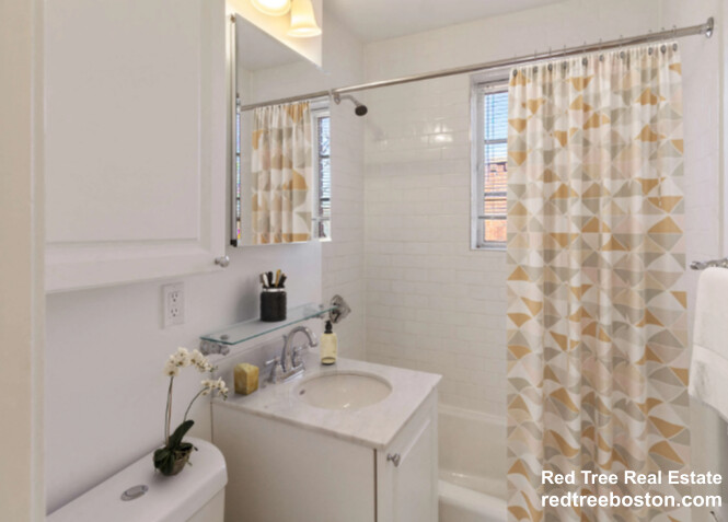 1 bed, 1 bath apartment for rent at 70 Saint Paul St Unit 4, Coolidge Corner — photo 3 of 12