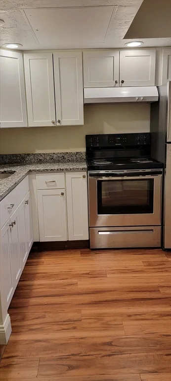 1 bed, 1 bath apartment for rent at 70 Southbridge St Unit 1015, Worcester