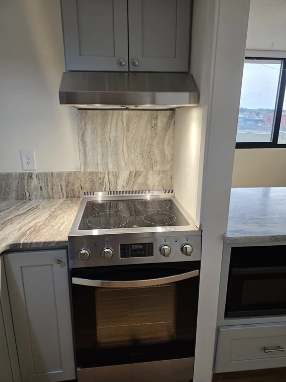 1 bed, 1 bath apartment for rent at 70 Southbridge St, Unit 504, Worcester — photo 3 of 23